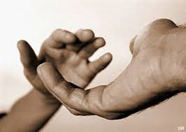 solidariedade